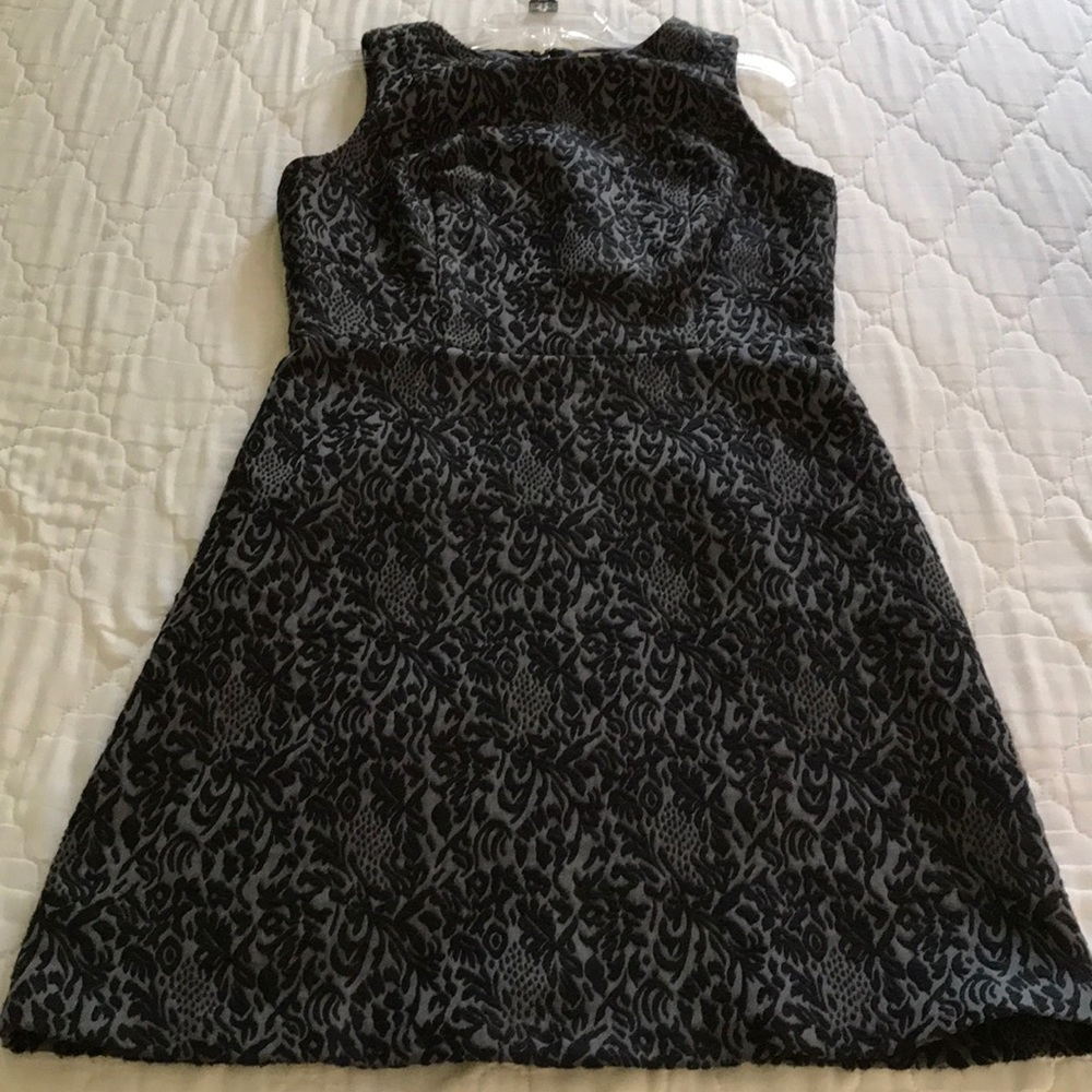 Ann Taylor LOFT Dress